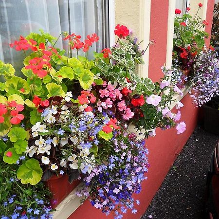 Achill House Hotell Cork Exteriör bild